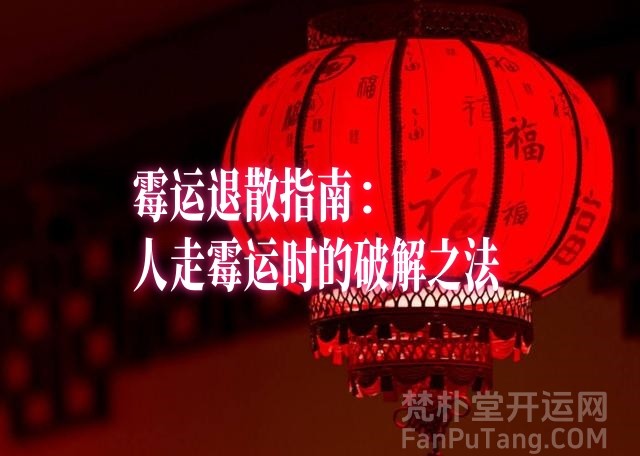 b型血女人的性格特点 B型血女生性格解析