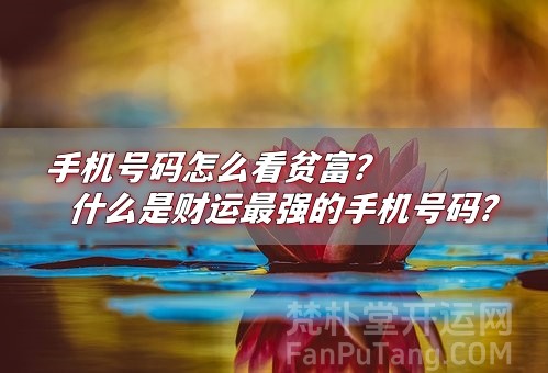 b型血女人的性格特点 B型血女生性格解析