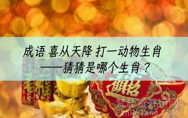 b型血女人的性格特点 B型血女生性格解析