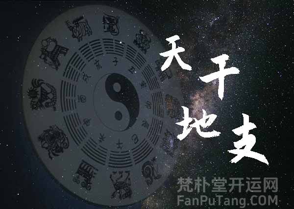 八字十天干日元中的“魅力之星”